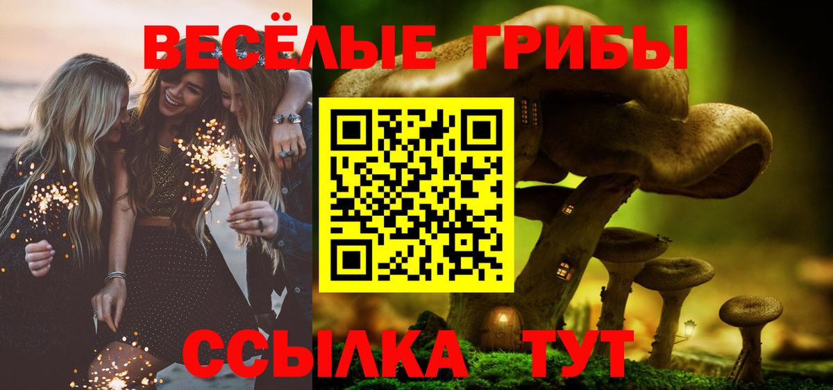 Новокубанск  где купить   Вход с VPN  Галлюциногенные грибы прущие грибы 